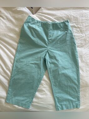 Light Blue Gingham/Plaid Capri Pant